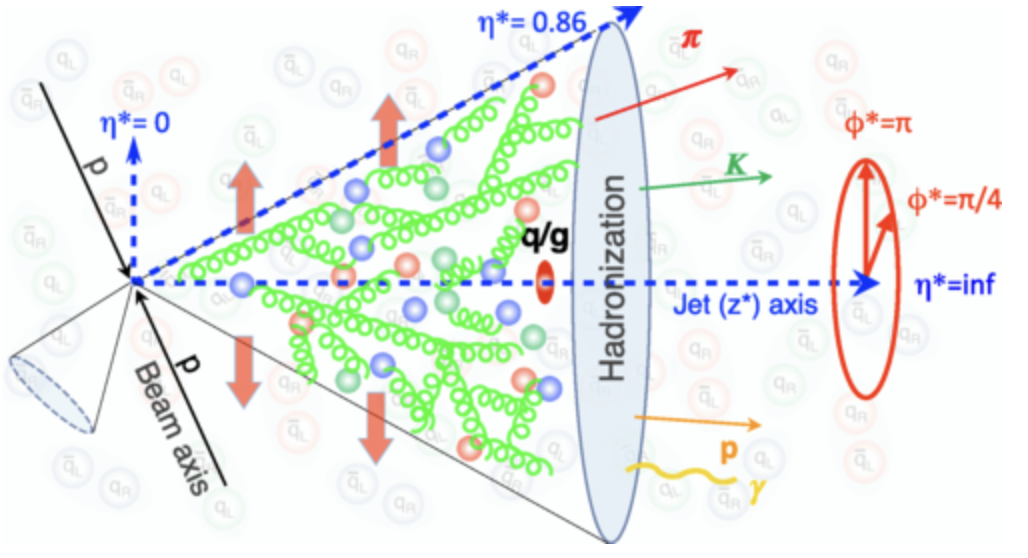 A schematic diagram illustrating the concept of this analysis