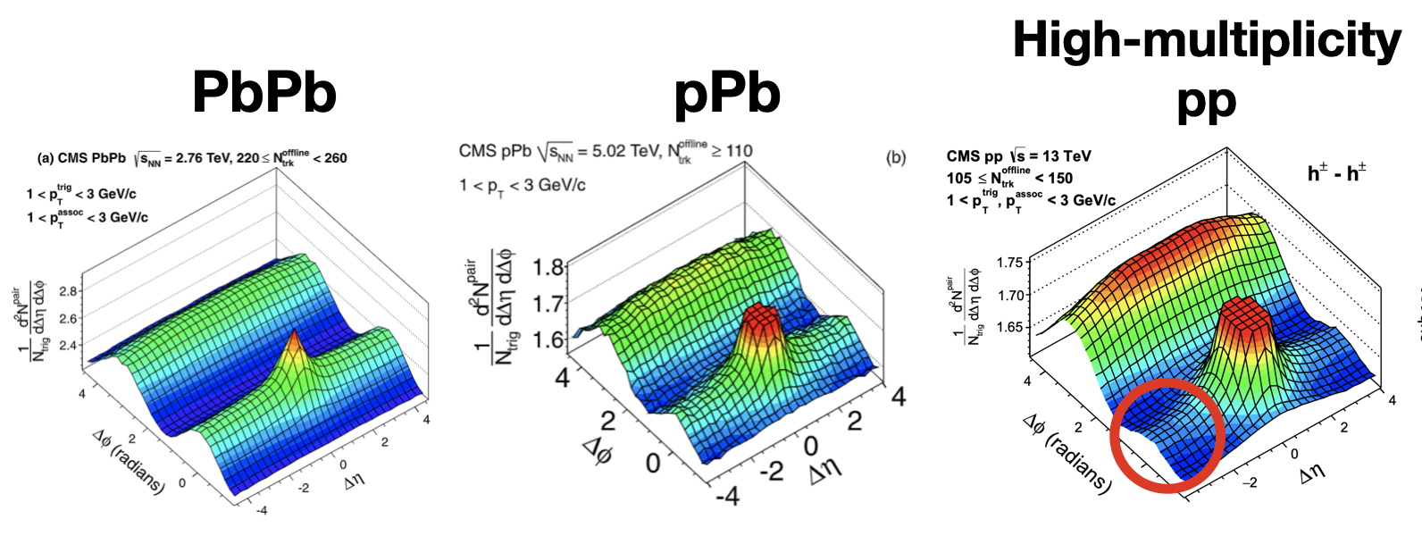 A near-side ridge in PbPb, pPb, and pp.